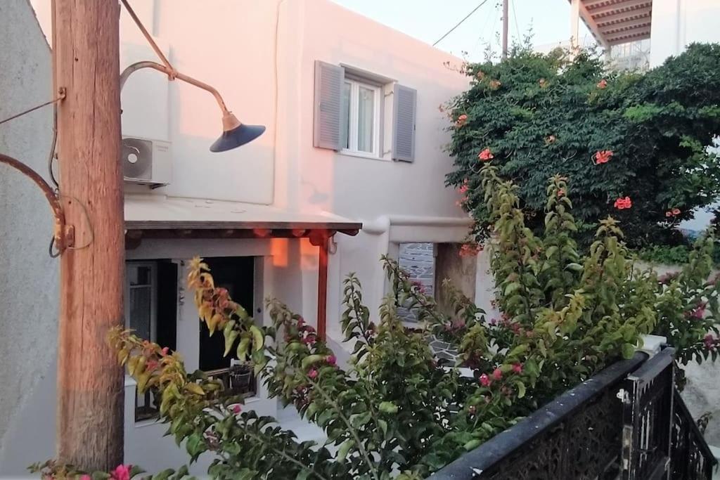 Naxion Esti - Διαμονή Στην Παλιά Χώρα Της Νάξου Villa Naxos City ภายนอก รูปภาพ