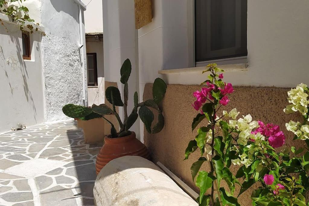 Naxion Esti - Διαμονή Στην Παλιά Χώρα Της Νάξου Villa Naxos City ภายนอก รูปภาพ