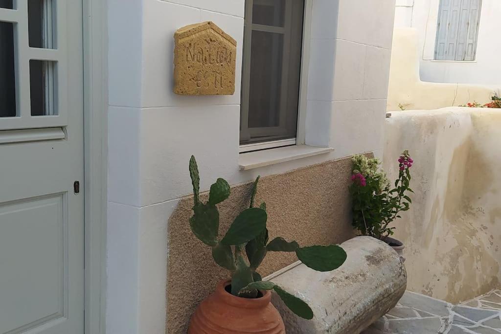 Naxion Esti - Διαμονή Στην Παλιά Χώρα Της Νάξου Villa Naxos City ภายนอก รูปภาพ
